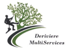 Deriviere multiservice