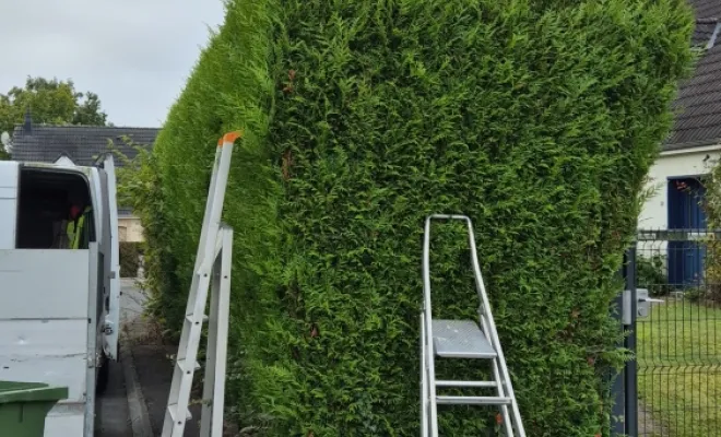 Taille de haie, Amiens, Deriviere multiservice