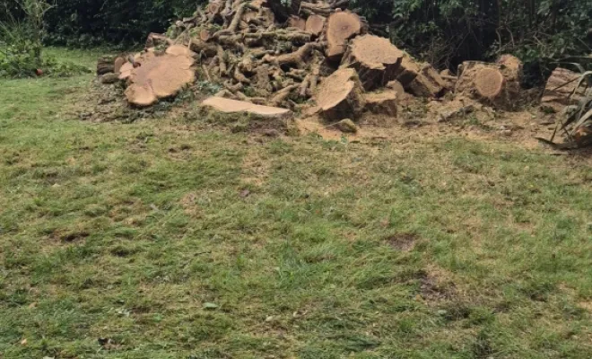 Elagage d'arbre, Amiens, Deriviere multiservice